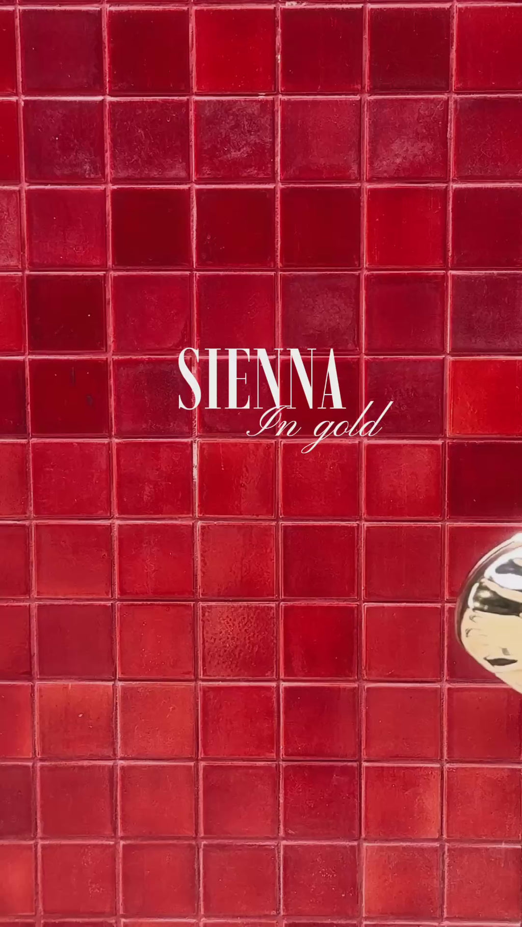 Sienna Clutch in Golden